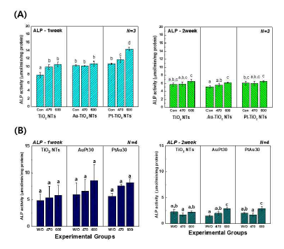 470 및 600 nm 가시광 조사·비조사 조건에서 Au,Pt (A)단순코팅 및 (B)멀티코팅 티타니아 나노튜브에 배양된 hMSCs의 ALP activity 결과