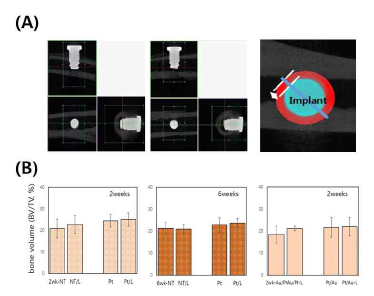 (A) 이식된 임플란트의 Micro-CT 촬영 이미지, ROI 선정 및 골 형성(bone volume) 분석 과정 (B) micro CT 분석을 통한 2주, 6주 후의 대조군과 백금(Pt) 코팅된 실험군과 멀티 코팅의 광조사 유무에 따른 3D bone volume 분석 결과