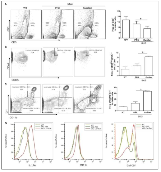 Th17/Treg 분석- Flow cytometry plots