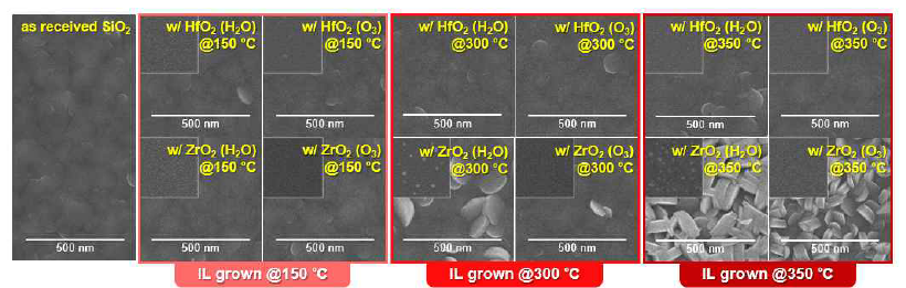 하부 유전막 HfO2, ZrO2의 증착 조건 (반응물 및 증착 온도)에 따른 SnO 박막의 SEM 이미지