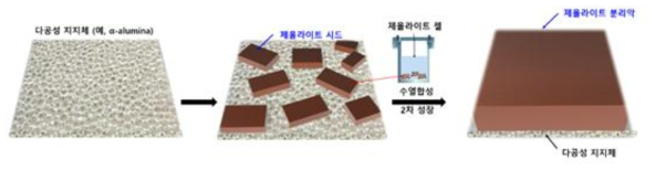 제올라이트 분리막 합성의 모식도. 2차 성장 때 분리막이 주로 두꺼워진다