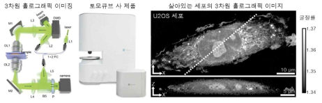 3차원 굴절률 이미징을 이용한 세포 내 생체분자농도 측정