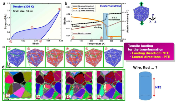 분자동역학 시뮬레이션에 의해 예측되는 인장에 따른 상변태 유발에 의한 다결정 소재의 열팽창 거동 발현. 중간 그림은 CNA pattern (파랑:오스테나이트, 빨강:마르텐사이트, 회색:결정립계), 하단 그림은 orientation mapping(색깔:orientation)에 의한 구조 구분을 보여준다