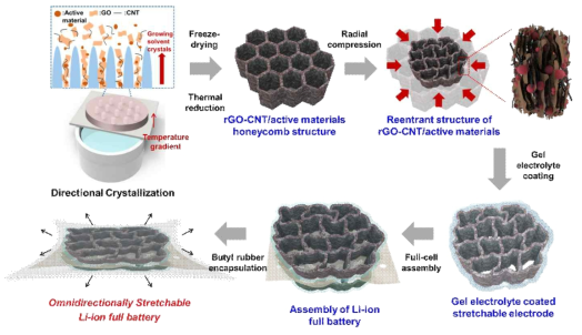 그래핀-탄소 나노튜브/활물질의 2차원 재진입형 미세 벌집 구조를 기반으로 한 신축성 있는 전체 전지 리튬 이온 배터리 제조의 개략도. 이 공정은 방향성 동결, 방사형 압축, 신축성 젤 전해질 및 부틸 고무 캡슐화 공정을 순차적으로 진행하였음