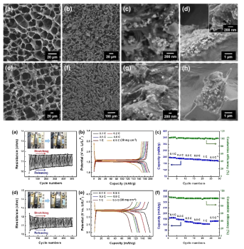 (왼쪽) 신축성 있는 (a-d) 그래핀-CNT/리튬 티타네이트(LTO) 양극 및 (e-h) 그래핀-CNT/리튬 철 인산염(LFP) 음극. (오른쪽) 반쪽 전지에 있는 전극의 저항 및 전기화학적 측정. (a) 그래핀-CNT/LTO 및 (d) 그래핀-CNT/LFP 복합재의 50% 신축 변형률에서의 저항 변화. (b,c) 그래핀-CNT/LTO 및 (e,f) 그래핀 -CNT/LFP 복합재의 충방전 특성, 속도 성능 및 쿨롱 효율