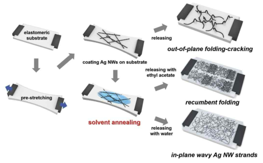 신축성 모재 위에서 1D 나노소재 네트워크를 제작한 후에 일반적으로 형성되는 수직방향의 작은 곡률반경으로 형성되는 구부러진 네트워크와 본 연구진의 대면적으로 수평방향으로 큰 곡률반경을 가지며 휘어있는 네트워크를 제작하는 구조와의 차이에 대한 모식도
