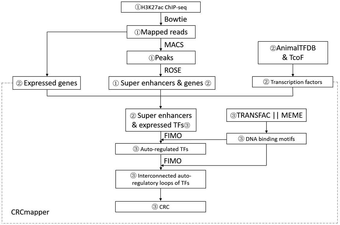 ChIP-SEQ 데이터를 분석에 사용된 핵심 소프트웨어 파이프라인