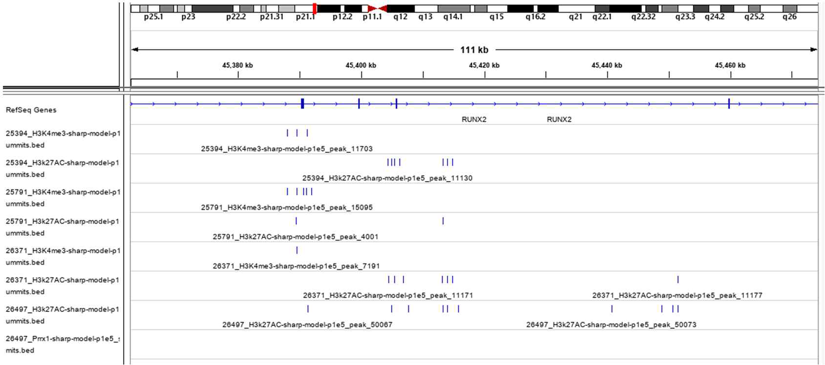 ChIP-peak mapping를 통한 super-enhancer의 존재 확인. 다양한 colon cancer CAF에서 후보 master transcription factor인 Runx2의 조절부위에 super-enhancer가 존재함을 확인할 수 있음