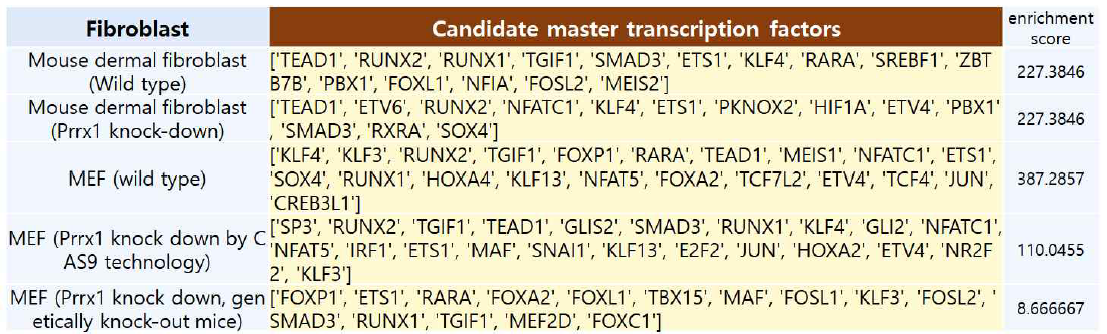 MEF과 dermal fibroblast에서 시행한 ChIP-SEQ 및 이를 통해 확인된 super-enhancer결과를 바탕으로 추정되는 각 세포의 master transcription factor들. MEF의 경우 Prrx1이 deletion된 경우 Smad3이 master TF로 부상하였으며 반대로 Sox4는 wild type MEF에서만 관찰됨. 반면 Runx2는 다양한 경우 골고루 master transcription factor로 떠오름