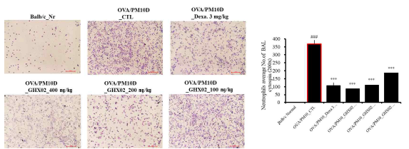 The effects GHX02 on cough count in OVA-PM10-induced allergic rhinitis mouse model