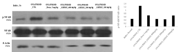 The effects GHX02 the NF-kB pathways in lung tissue in OVA-PM10-induced allergic rhinitis mouse model