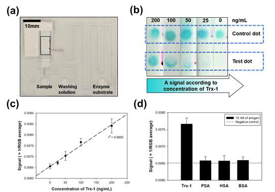 (a) 완성된 종이칩의 모습 (b) Trx-1 농도에 따른 신호 (c) 이미지 분석을 통해 얻은 Trx-1 농도에 따른 검량선 (d) 종이칩을 이용하여 타 단백질의 분석하고 이에 대한 결과를 통해 확인한 Trx-1에 대한 선택성