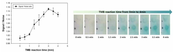 효소 기질 반응 시간에 따른 비특이적신호 대비 신호 (S/N)