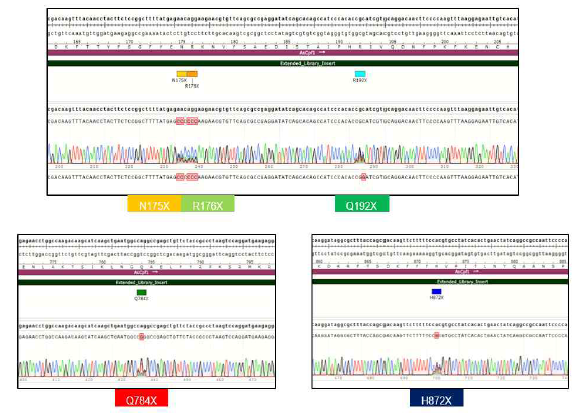 CRISPR-Cas12a 유전자 가위 라이브러리 제작 결과. N175, R176, Q192, Q784, H872 아미노산에 무작위 변이를 삽입하여 3.2X10^6개 사이즈의 라이브러리를 구축