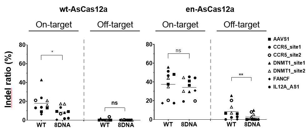 다양한 세포내 유전자대상 chimeric DNA-RNA 가이드 기반 engineering 된 en-Cas12a 와 Cas12a 의 유전자 변이 유도 표적 특이성 비교. WT: wild-type crRNA, 8DNA: chimeric DNA-RNA crRNA