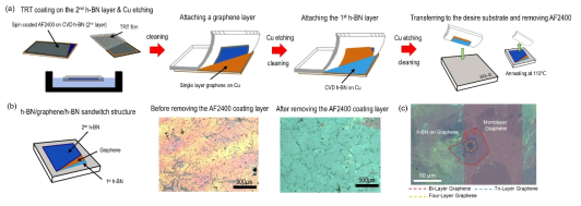 (a) 개발된 2차원 나노소재 전사공정 개략도, (b) 전사된 2차원 나노소재 샌드위치 구조 및 광학 현미경 이미지, 그리고 (c) 육방질화붕소 사이의 그래핀 표면 상태를 보여주는 광학현미경 이미지