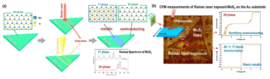 (a) MoS2 상변화 공정 개략도, (b) 라만 레이져 조사를 통한 상변화 달성 연구결과