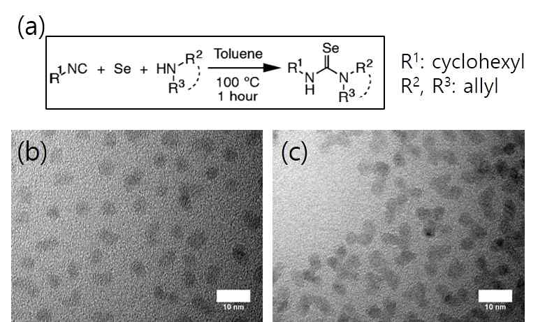 (a) 셀렌화요소의 합성과정 및 본 연구에서 사용한 구조. 셀렌화요소를 사용해서 합성한 (b) 구형 및 (c) 다지형 ZnSe 나노입자