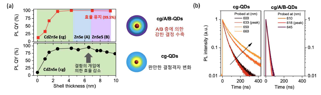 (a) 껍질 두께에 따른 cg/A/B-QD와 cg-QD의 PL QY 변화. (b) 발광 파장별로 분리한 각 양자점의 시분해 형광동역학