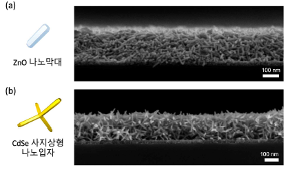 (a) ZnO 나노막대 및 (b) CdSe 사지상형 나노입자를 이용한 나노스캐폴드 박막의 단면 이미지