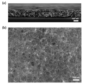 (a) 화학함침법으로 CdSe 나노스캐폴드상에 성장시킨 CdS 막. 외부에 먼저 형성된 막으로 인해 내부로의 물질전달이 가로막혀 공극을 채우지 못함. (b) 원자층성장법으로 스캐폴드 사이에 일부 성장하였으나 여전히 많은 공극이 존재함