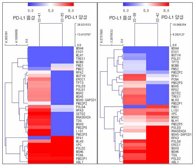 PD-L1 발현 양상별 유전자 발현 패턴