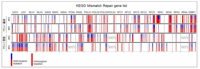 PD-L1 발현 양상별 MMR 유전자들의 돌연변이 확인