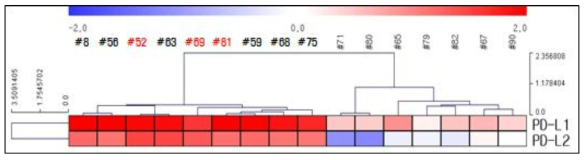 PD-L1 & PD-L2 발현 양상별 환자 분류