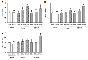 Effects of adipose tissue-derived exosomes on mRNA expression levels of Bip (A), CHOP (B), and ATF6 (C) in AML12 cells. AML12 cells treated with adipose tissue-derived exosomes from normal diet mice (C/Exo, 50 μg/mL), from HFD mice (HF/Exo, 50 μg/mL), or differential ratio-based adipose tissue-derived exosomes from HFD mice (HF/ExoR, 125 μg/mL) over 48 h. All data are expressed as mean ± SD. 4 week C/Exo versus HF/Exo, ns = not significant. 8, 12 week Different letters indicate a difference in significance, p  b > c), as determined by Duncan’s multiple range test