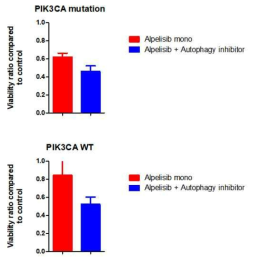 PI3K 억제제를 autophagy inhibitor 와 병용하여 사용 시 PIK3CA 변이가 있는 세포주 뿐만 아니라 PIK3CA 변이가 없는 유방암 세포주에서도 시너지 효과가 발생함을 확인 함