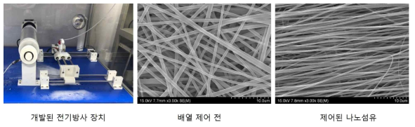 1차년도 연구결과물