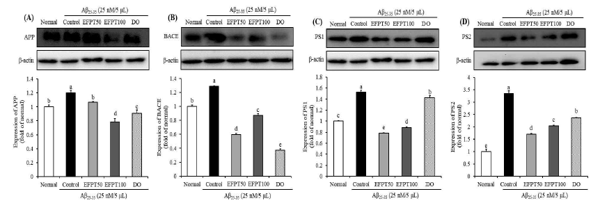 Effect of EtOAc fraction from Populus tomentiglandulosa on protein expression levels of APP (A), BACE (B), PS1 (C), and PS2 (4) in Aβ25-35-induced mice