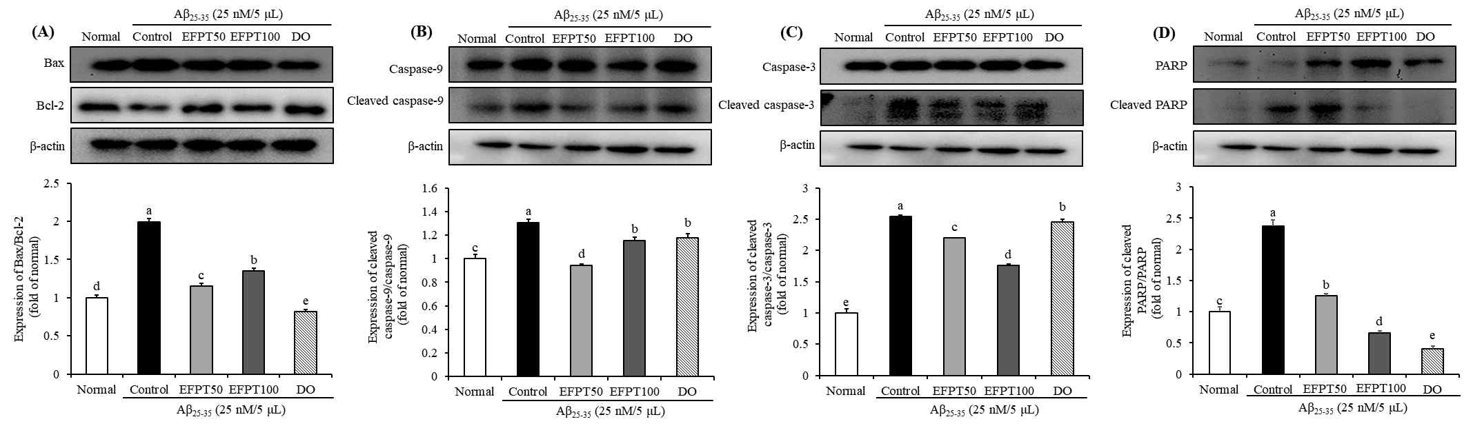 Effect of EtOAc fraction from Populus tomentiglandulosa on protein expression levels of Bcl-2/Bax (A), cleaved caspase-9/caspase-9 (B), cleaved caspase-3/caspase-3 (C), and cleaved PARP/PARP (D) in Aβ25-35-induced mice