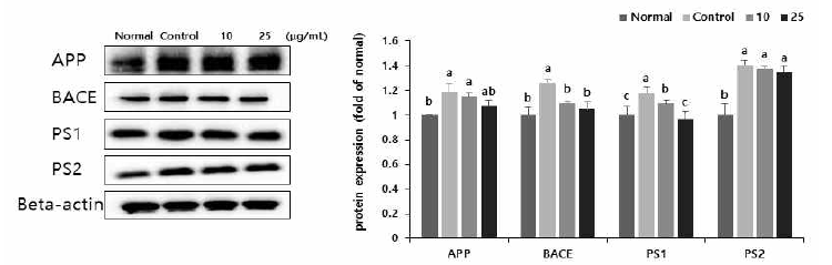 Effect of active compound from Populus tomentiglandulosa on protein expression in Aβ25-35-treated SH-SY5Y cells