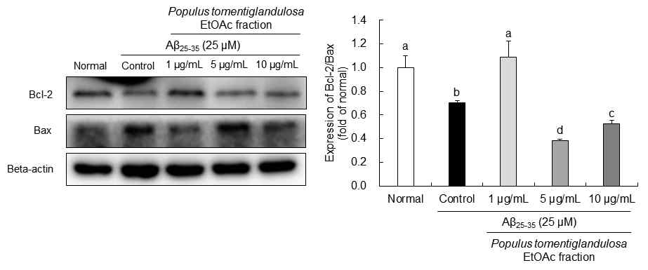 Effect of Populus tomentiglandulosa on apoptosis-related protein expressions in SH-SY5Y cells treated with Aβ25-35