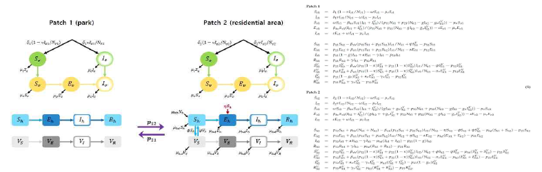 Two-patch 뎅기열 백신 접종 수리 모델 도식도와 미분방정식 모델
