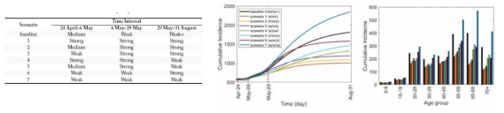다양한 시나리오 가정(왼쪽 테이블)하에서 감염자 추이와 연령별 환자 발생수(오른쪽)