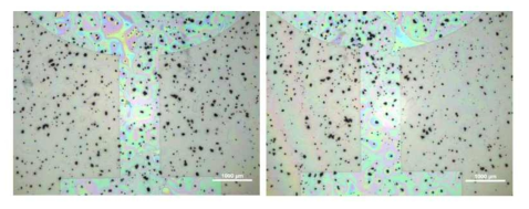 표면 개질된 aluminum titanate (AT) 입자와 DOCDA-6FHAB 고분자와의 나노복합체 절연박막 표면의 광학현미경 이미지