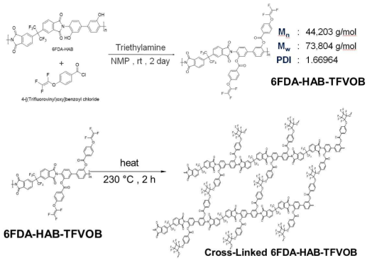 PI 고분자 기반 열경화 가능한 6FDA-HAB-TFVOB 고분자 및 경화 구조