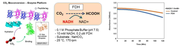 이산환탄소 전환 효소를 이용한 가스 용해도 향상 탄산무수화효소 플랫폼 성능 측정