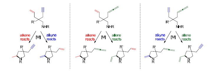 다중 작용기를 포함하는 화합물의 hydroamination 반응 시 촉매의 작용기 선택성 연구