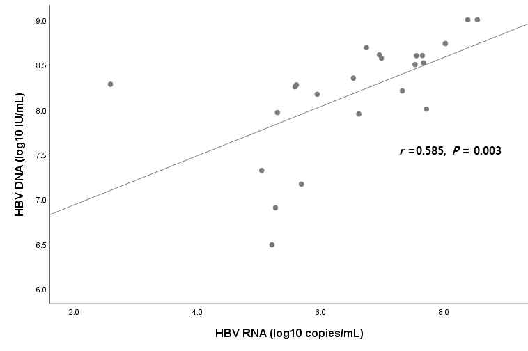 HBV DNA 와 HBV RNA 수치와의 상관관계