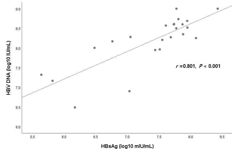 HBV DNA 와 HBcrAg 수치와의 상관관계