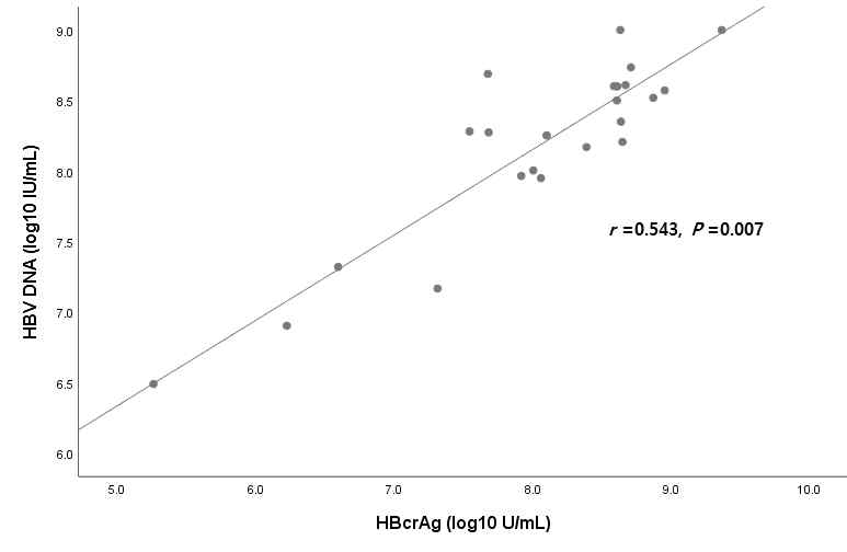 HBV DNA 와 HBsAg 수치와의 상관관계