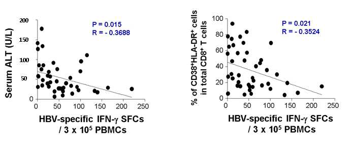 HBV specific T-cell activity와 혈청 ALT 수치의 상관관계