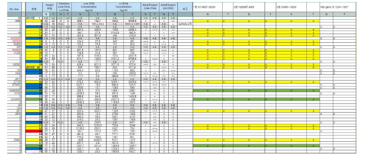 35명 환자의 간조직검사 및 cccDNA, core DNA 정량검사결과