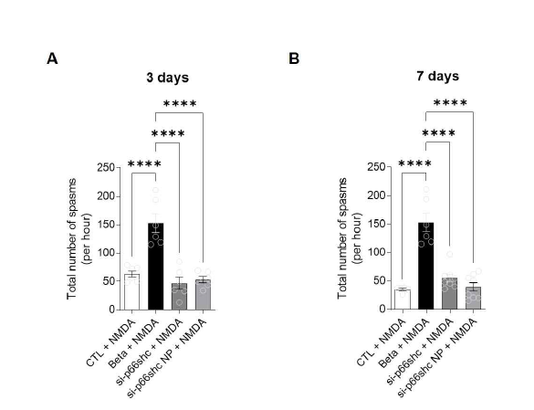 p66shc siRNA nanoparticle 주입 후 경련 감수성 변화