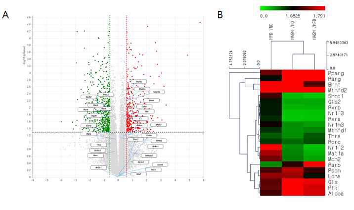 mRNA-Seq gene expression data in liver tissue from diet-induced NASH model