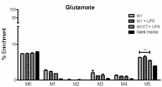 활성화된 대식세포에서 glutamate secretion