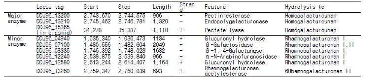 Enterococcus muntii Pe103 내의 펙틴 분해에 관여하는 추정 효소들